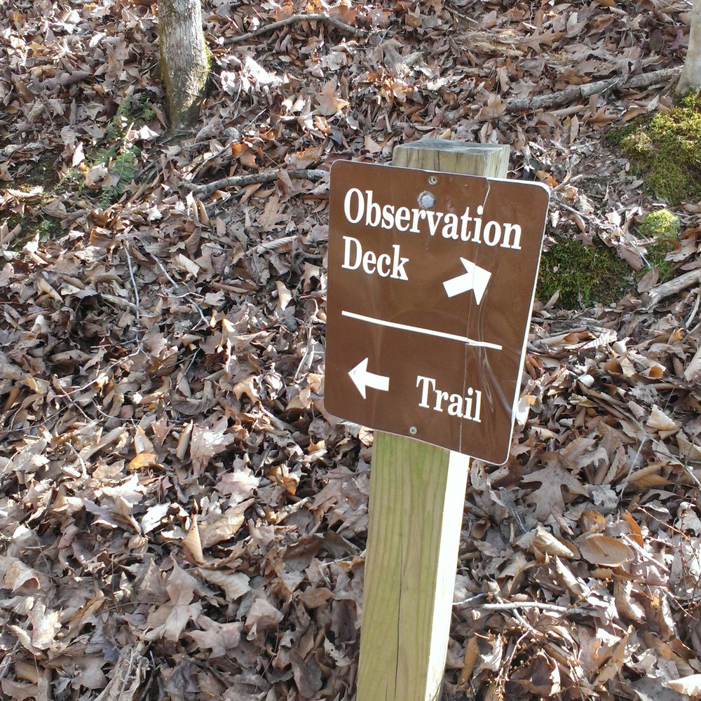 Bunkum Cave Loop Trail - Tours Near Me - Byrdstown, Tennessee