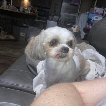 Mr Mutt Dog Wash - Pet Groomers Near Me - Rowlett, Texas Mr Mutt Dog Wash - Pet Groomers Near Me - Rowlett, Texas