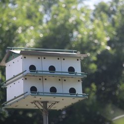 Cottonwood Creek Greenbelt Park - Cottonwood Creek Greenbelt Park Neighborhood Bird House. Photo by Happy Tails Pet Pal, LLC.