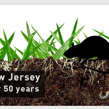 Humphreys Pest Control - Pest Control Near Me - Glenside, Pennsylvania Humphreys Pest Control - Pest Control Near Me - Glenside, Pennsylvania