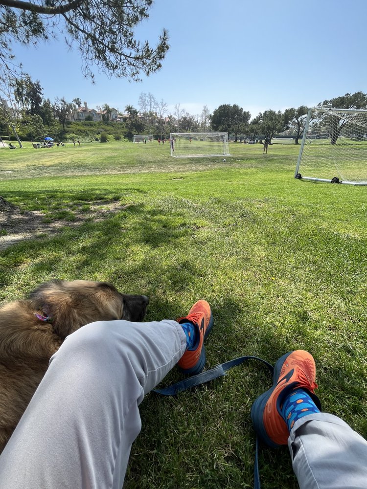 TOMMY’S TAILS PET EMPORIUM Request a Quote 10 Photos Irvine, California Pet Groomers