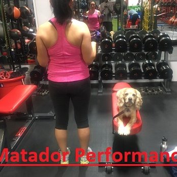Fitaphysical - Lulu and Hunter with great form during a set of bicep curls! - Trainers Near Me - Pasadena, California Fitaphysical - Lulu and Hunter with great form during a set of bicep curls! - Trainers Near Me - Pasadena, California