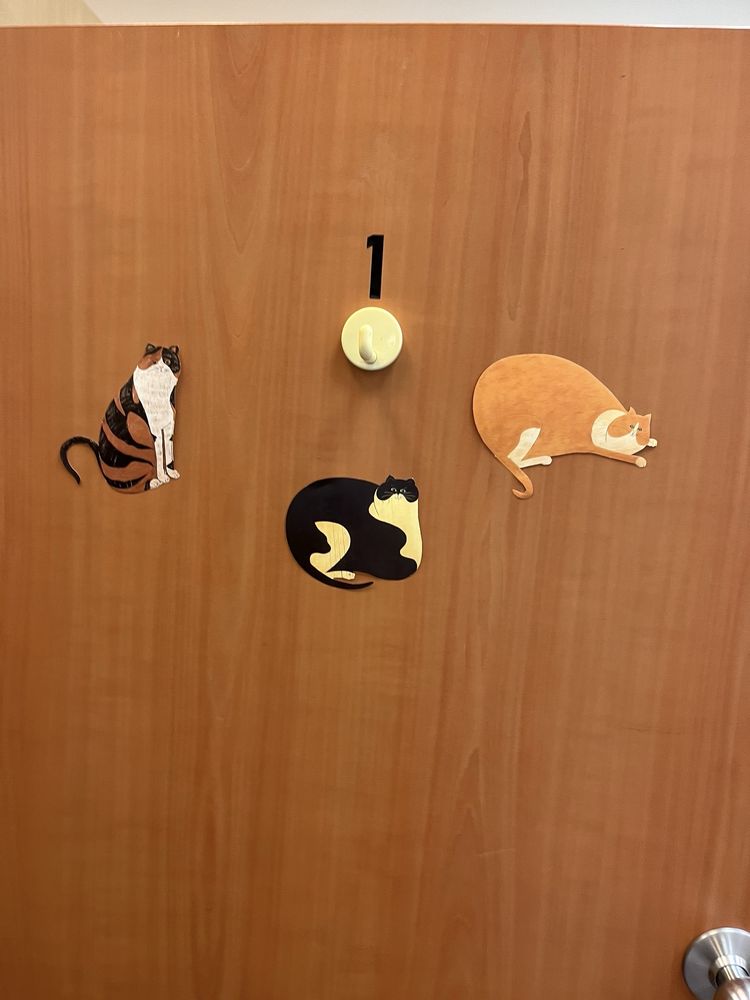 THE CAT ON ZAFARANO Updated October 2024 31 Photos & 23 Reviews