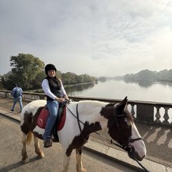 Hyde Park Stables