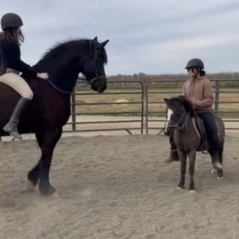 Infinity Farm - Debonaire and me:) - Horse Boarding Near Me - Marysville, California Infinity Farm - Debonaire and me:) - Horse Boarding Near Me - Marysville, California