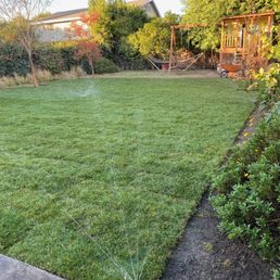 Modern Lawn Care job Modern Lawn Care job