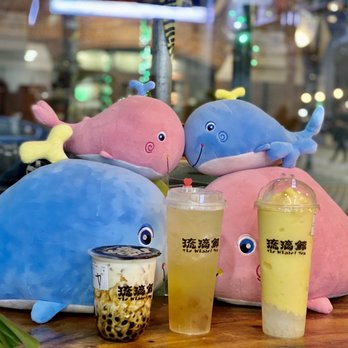 The Whale Tea - Bubble Tea Near Me - New Haven, Connecticut The Whale Tea - Bubble Tea Near Me - New Haven, Connecticut