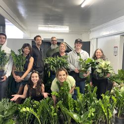 Growing Roots - Our team is always excited to deliver life into a space!