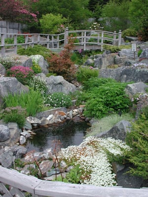 Memorial University Botanical Garden by null