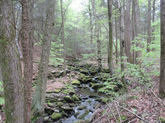 Overlook Mountain Trailhead by null