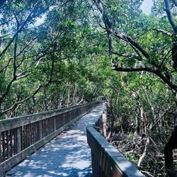 Weedon Island Preserve Cultural and Natural History Center