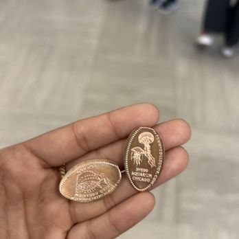 Shedd Aquarium - Penny souvenir - Aquariums Near Me - Chicago, Illinois Shedd Aquarium - Penny souvenir - Aquariums Near Me - Chicago, Illinois