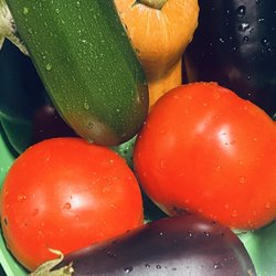 Burke Farmer's Market - This upcoming weeks lunch and dinner :) Vibrant colors and amazingly fresh flavors.