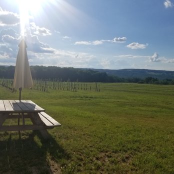 South Hill Cider - View from the cidery. - Cideries Near Me - Ithaca, New York