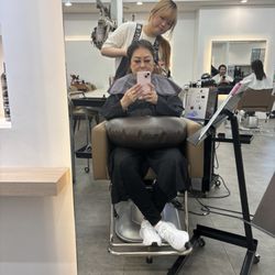 Park Jun Korean Hair Salon Straight Perm Color Wedding
