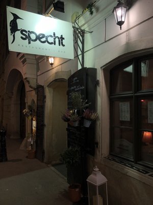 Specht by null