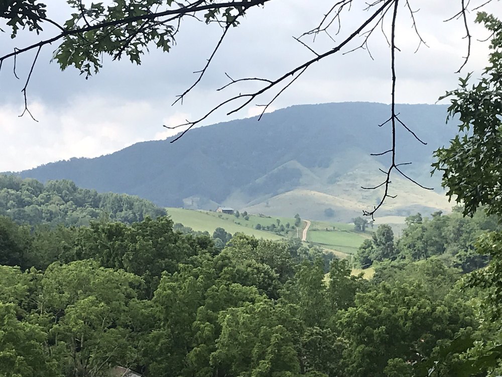 FOXTAIL ORCHARDS 30 Photos 148 Macky Ln, Tazewell, Virginia