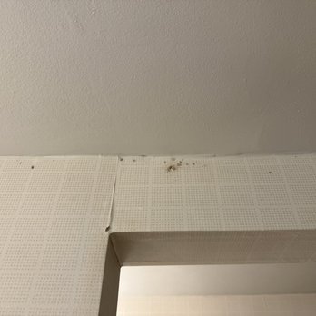 Hotel Silver Spring - Mold - Hotels Near Me - Silver Spring, Maryland Hotel Silver Spring - Mold - Hotels Near Me - Silver Spring, Maryland