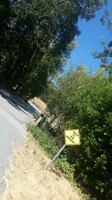 Spirit Rock Meditation Center by null