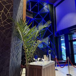 Entrance of Palma Verde Restaurant