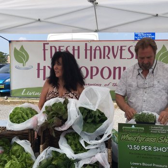 Bethany Beach Farmers Market  - Farmers Market Near Me - Bethany Beach, Delaware