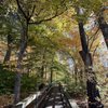 Stiglmeier Park gift card