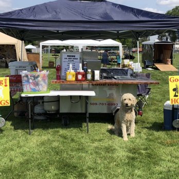 Good Dog Hot Dogs - a dog sitting under a tent - Street Vendors Near Me Good Dog Hot Dogs - a dog sitting under a tent - Street Vendors Near Me