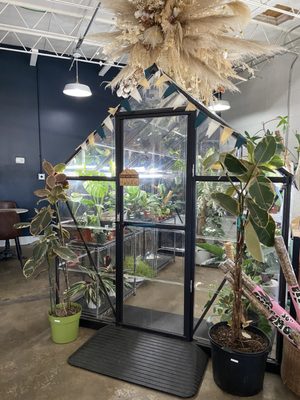 Dandy Lion Coffee Co. by null