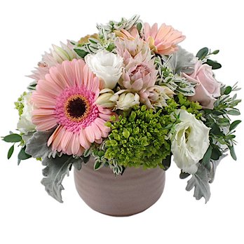 Orange County Flower Delivery - Florists Near Me Orange County Flower Delivery - Florists Near Me