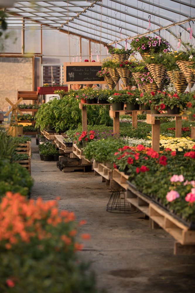 AUNT BEEZ GREENHOUSE TEMP. CLOSED Updated October 2024 3027 W