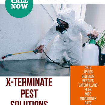 X-Terminate Pest Solutions - Pest Control Near Me X-Terminate Pest Solutions - Pest Control Near Me