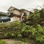Photo of DC Tree Services