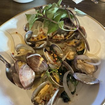 Amazing Basil - Asian Fusion Near Me - Fremont, California Amazing Basil - Asian Fusion Near Me - Fremont, California