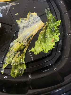 Brunch Cafe-Fox River Grove by null