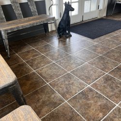 Community Veterinary Clinic - Front waiting room