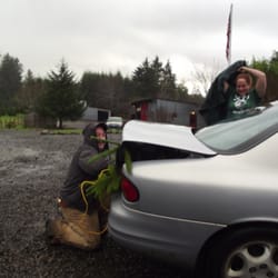Noble Ridge Farm - Helping us load our tree for the trip home
