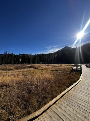 Big Cottonwood Canyon by null