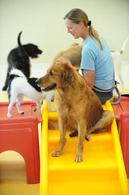 Now Boarding by null