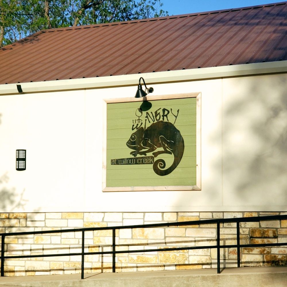 a chamelon on a sign a chamelon on a sign