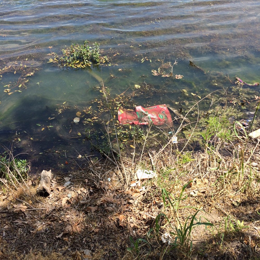 Towne Lake Park - Parks Near Me - McKinney, Texas