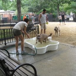 The run was renovated in 2008; here are some lucky dogs shortly after its re-opening! The run was renovated in 2008; here are some lucky dogs shortly after its re-opening!