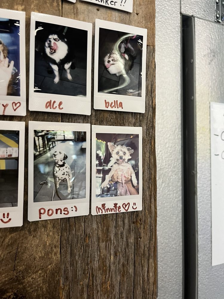 Foxtail Coffee Co. - Ormond Beach Image
