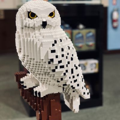 Barnes & Noble by null