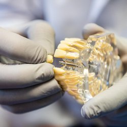 Oakland Dental Implant Center