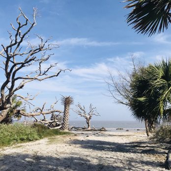 Driftwood Beach - Path from parking to the beach - Beaches Near Me - Jekyll Island, Georgia