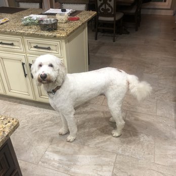 PetSmart - Pet Groomers Near Me - Clarksville, Tennessee PetSmart - Pet Groomers Near Me - Clarksville, Tennessee
