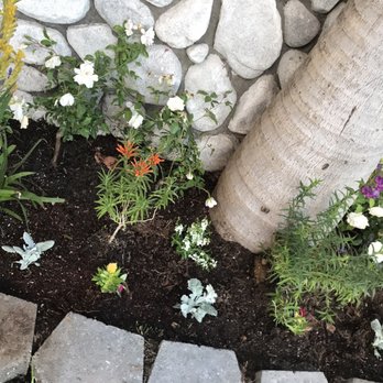 RV Nursery - Love RV! - Nurseries & Gardening Near Me - Buena Park, California RV Nursery - Love RV! - Nurseries & Gardening Near Me - Buena Park, California