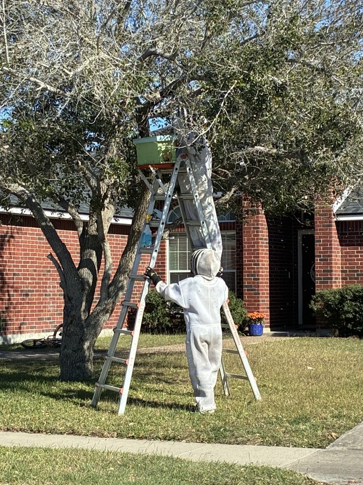 Jackass Honey Farms Logo