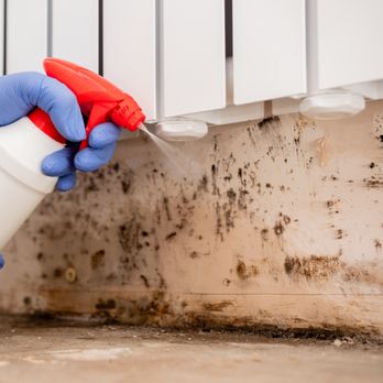 RestoPros - When it comes to water damage, time is of the essence. Waiting too long to call in the professionals can lead to mold growth. - Damage Restoration Near Me - Sparks, Nevada RestoPros - When it comes to water damage, time is of the essence. Waiting too long to call in the professionals can lead to mold growth. - Damage Restoration Near Me - Sparks, Nevada