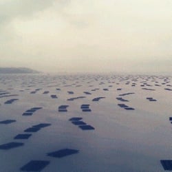后海灣